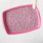 c650c2d7c4203d8c71f24e84348223f5