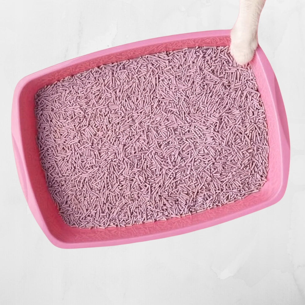 c650c2d7c4203d8c71f24e84348223f5