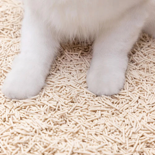 żwirek tofu dla kota – naturalny, Sagapo 2,5kg