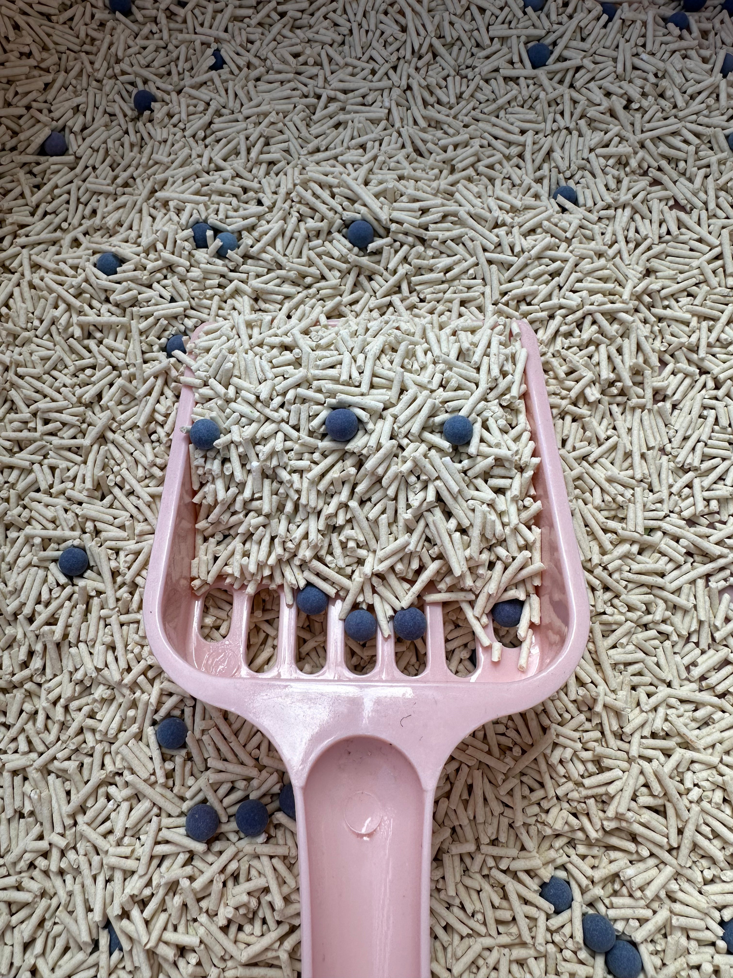 żwirek tofu dla kota naturalny Sagapo 2,5 kg
