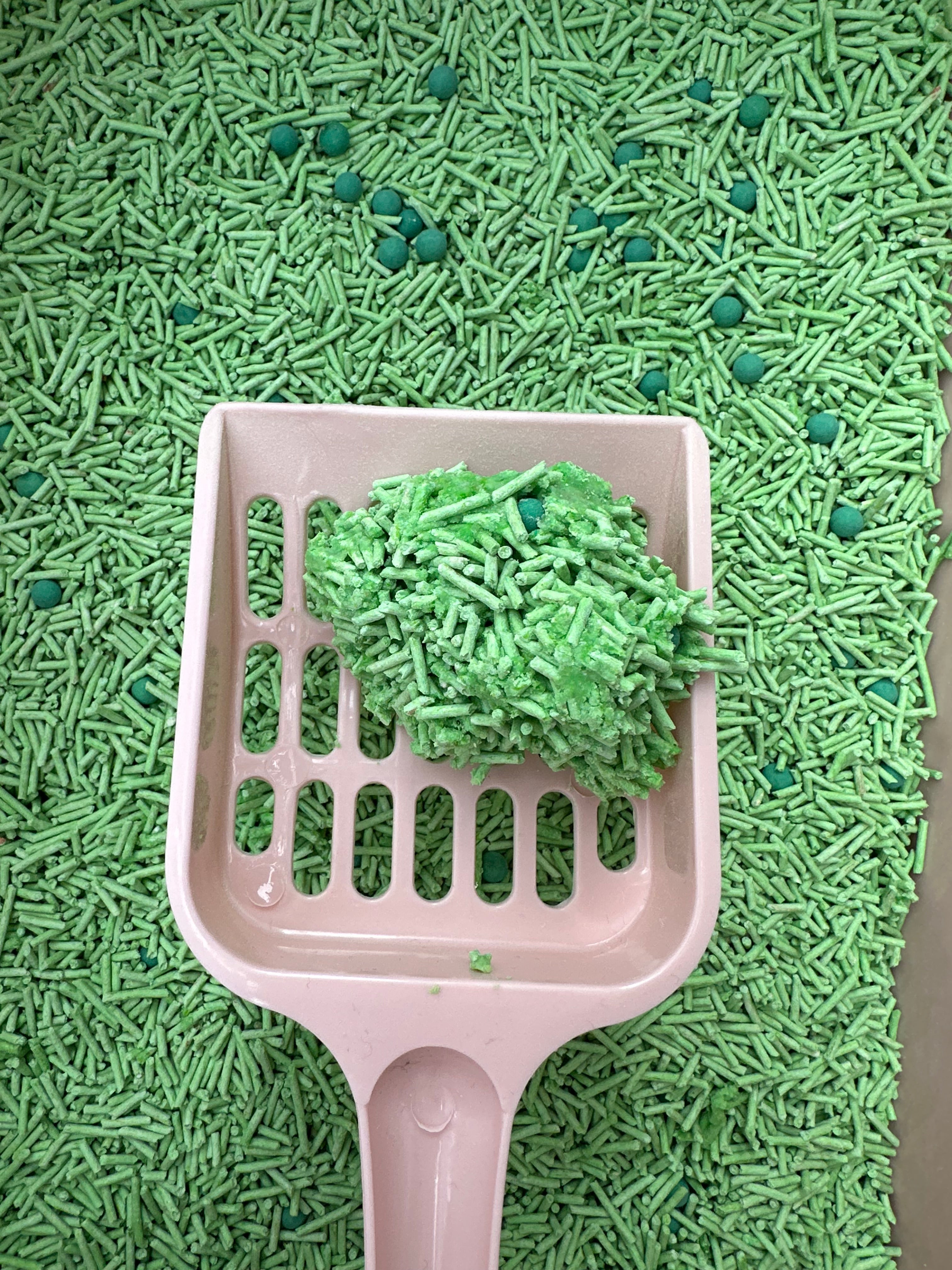 SAGAPO Żwirek tofu dla kota zbrylający zielona herbata 2,5 kg