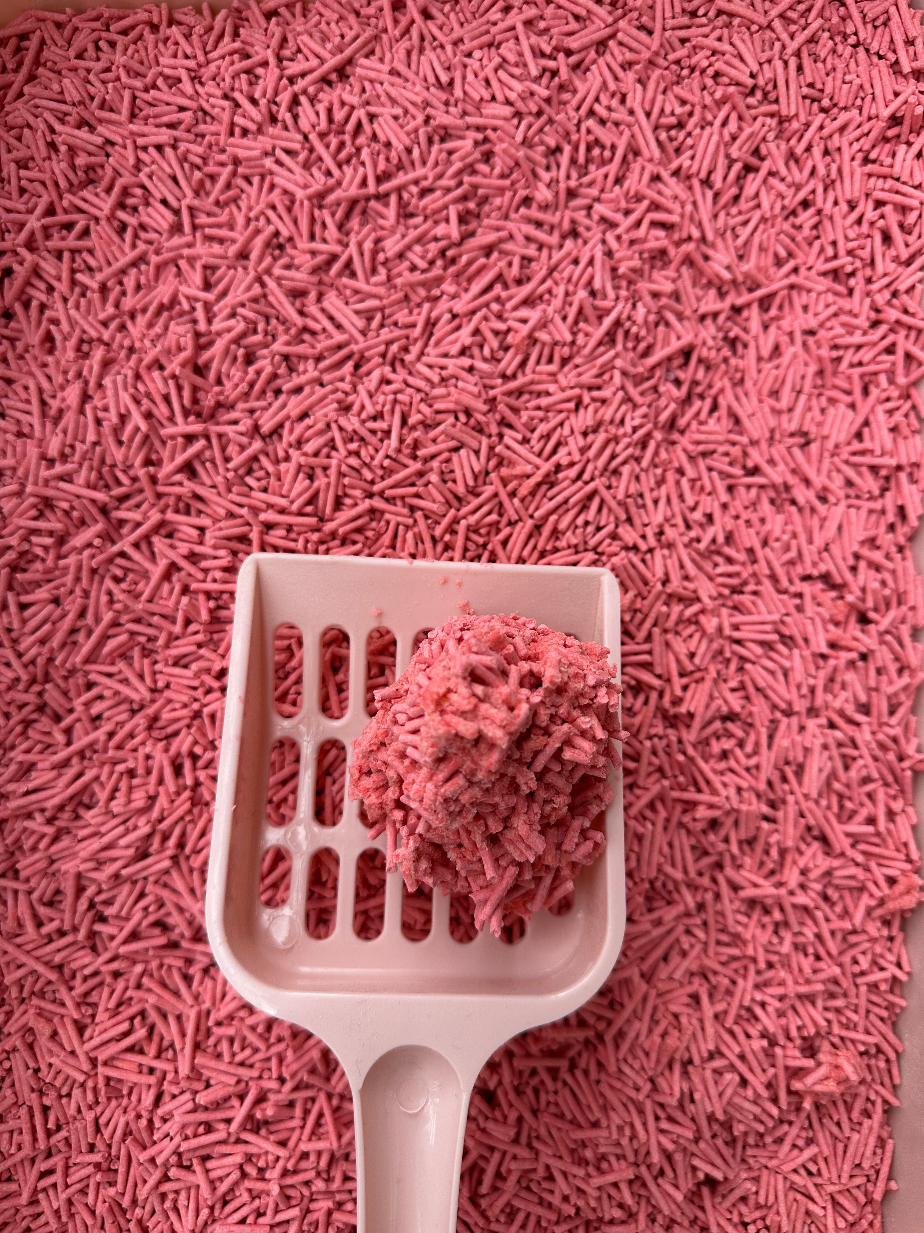 SAGAPO Żwirek tofu dla kota zbrylający brzoskwinia 2,5 kg