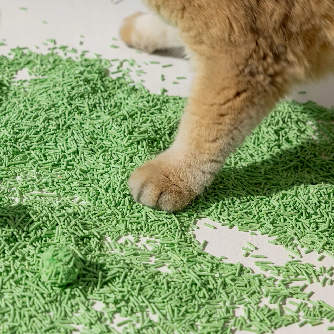 b054d156e08136f0ebf4c2ed783db3af