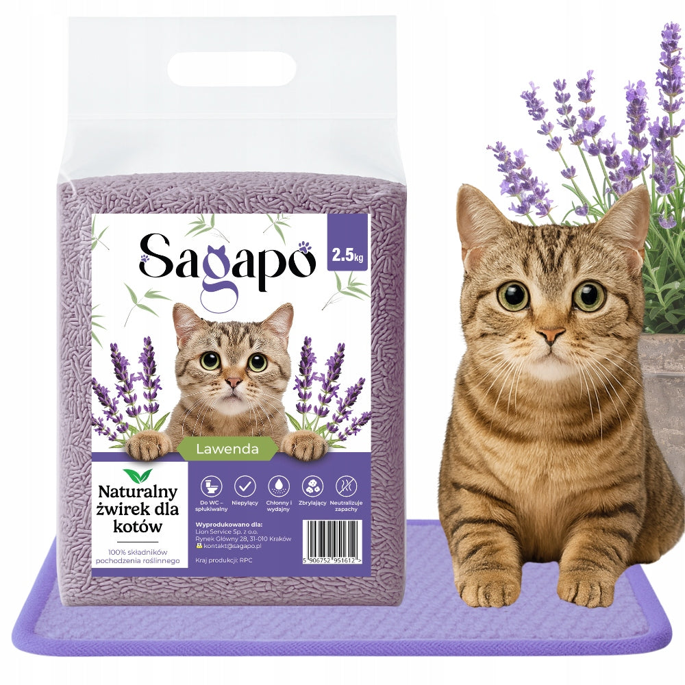 b51c388c5de1761453f0357170550347