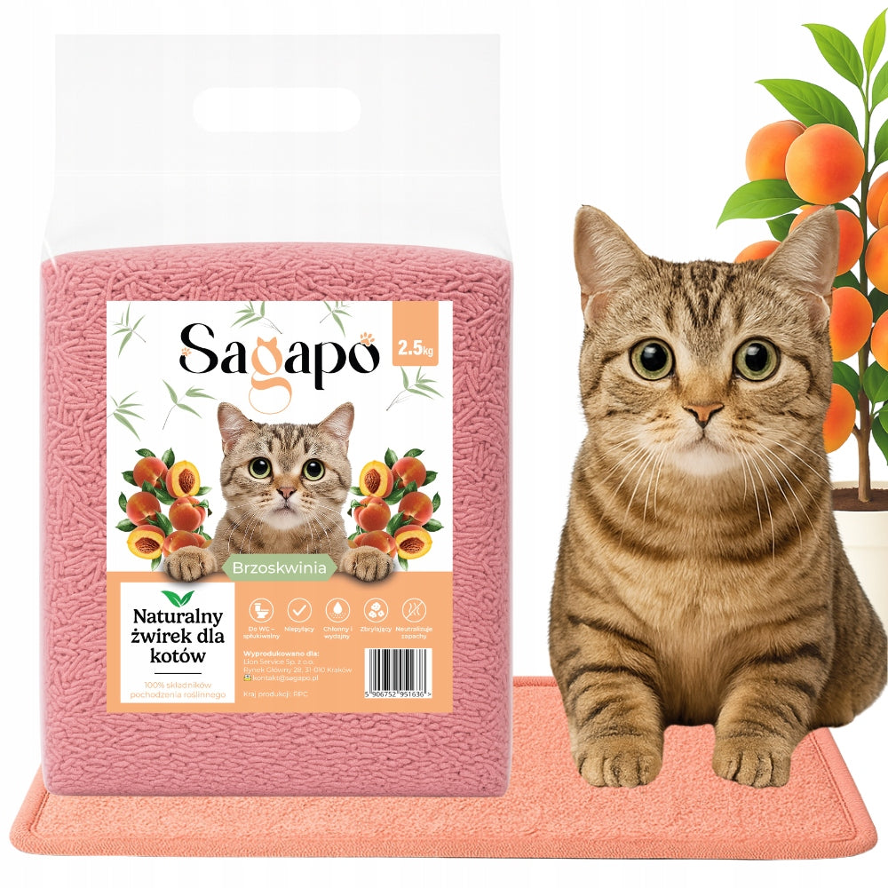 b15491477fd9b27f41a8685376b88f80